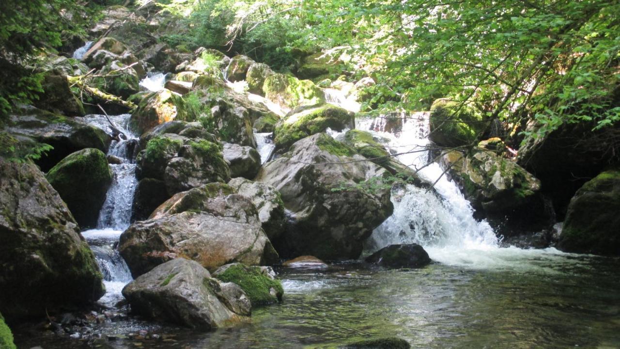 Apartmenthaus Berdnik Kotschach-Mauthen Dış mekan fotoğraf