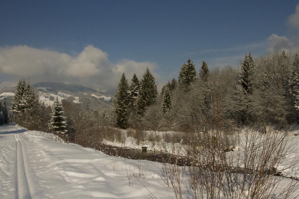 Apartmenthaus Berdnik Kotschach-Mauthen Oda fotoğraf