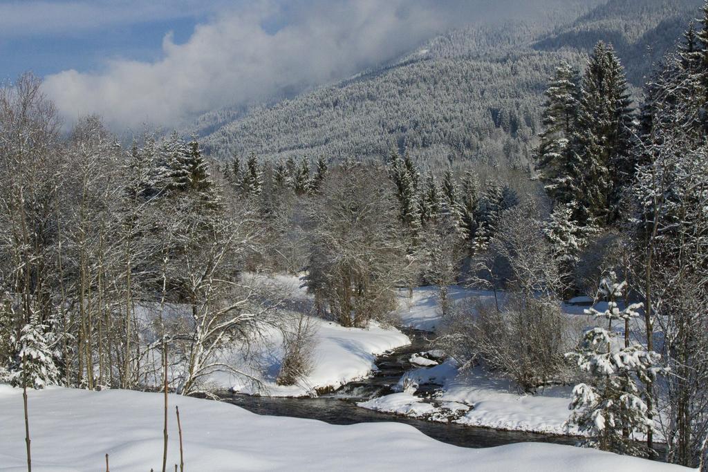 Apartmenthaus Berdnik Kotschach-Mauthen Oda fotoğraf